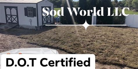 Sod World - Bahia Sod, Sod Installation