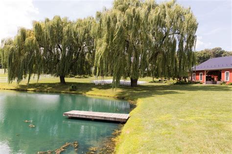 Pond View Farm Weddings | Tyler Rieth Photography