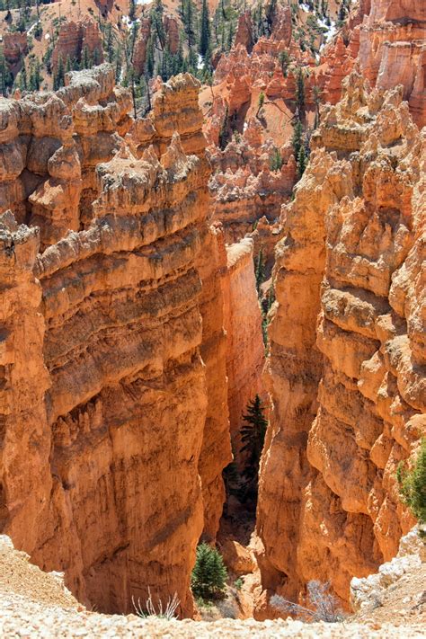 Bryce Canyon National Park: Sunset Point | National Parks With T