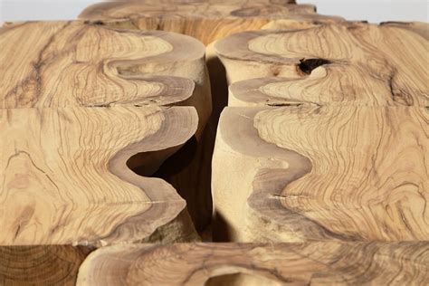 Sculptural Log Coffee Table