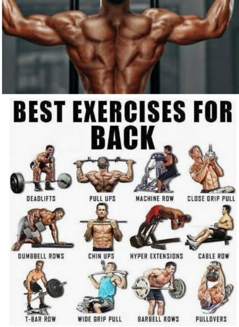 Best back exercises for men | Back workout routine, Good back workouts, Back exercises