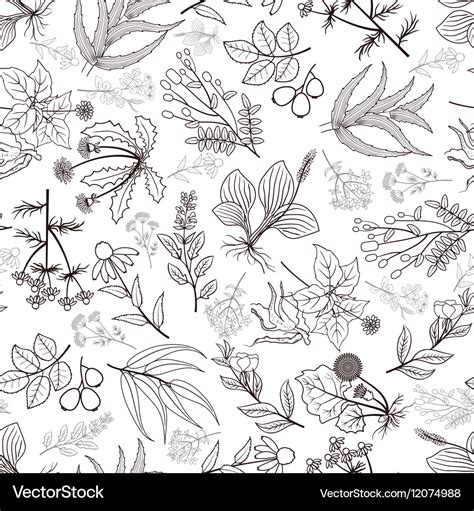 Herbs and spices seamless pattern Royalty Free Vector Image