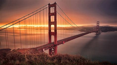 HD wallpaper: bridge, river, nature, golden gate park, San Francisco, tree | Wallpaper Flare
