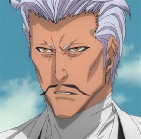 Chōjirō Sasakibe | Bleach Wiki | Fandom