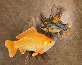 Bass Fish Mount Replica - Etsy