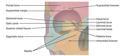 Orbital Blow-Out Fractures – Core EM