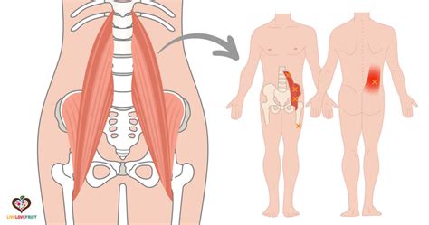 10 Psoas-Releasing Stretches to Stabilize the Spine - Live Love Fruit