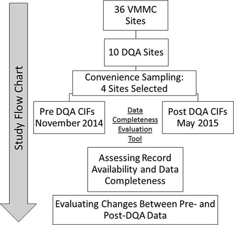 Challenges in data quality: the influence of data quality assessments on data availability and ...