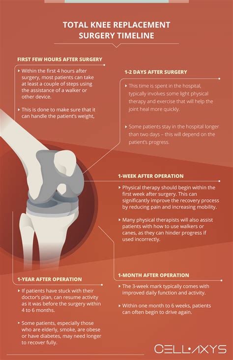 Average Recovery Time After Hip Replacement at James Jim blog