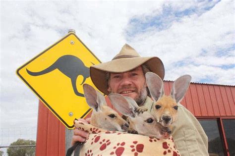 There's a sanctuary for orphaned kangaroos in Australia, and it's awesome