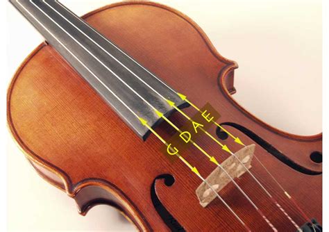 How To Tune E String Violin at Lula Watts blog