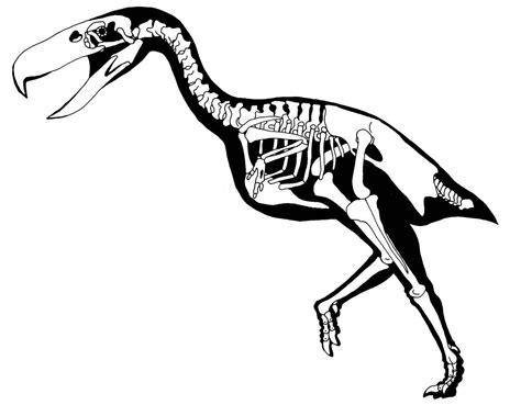 공포새(terrorbird)(브금) | 괴담 | 루리웹 l RULIWEB