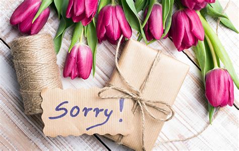 Flowers: The Best Way to Say 'Sorry' - zFlowers.com Blog