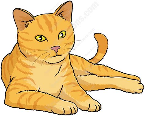 Orange Cat With Yellow Eyes Lying Down And Looking Ahead | Cats illustration, Grey tabby cats ...