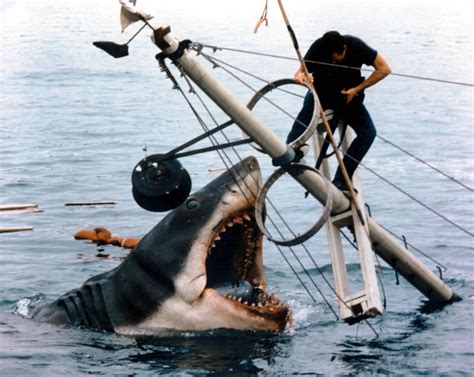 Jaws 40th Anniversary: 40 facts about Spielberg's infamous shark movie and Great Whites