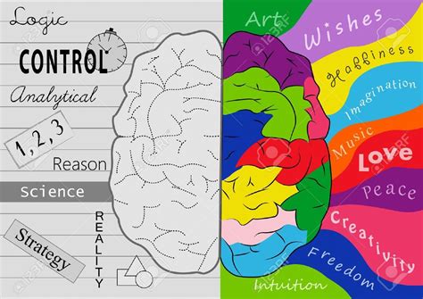 Image result for creativity | Right brain, Brain math, Vision board book