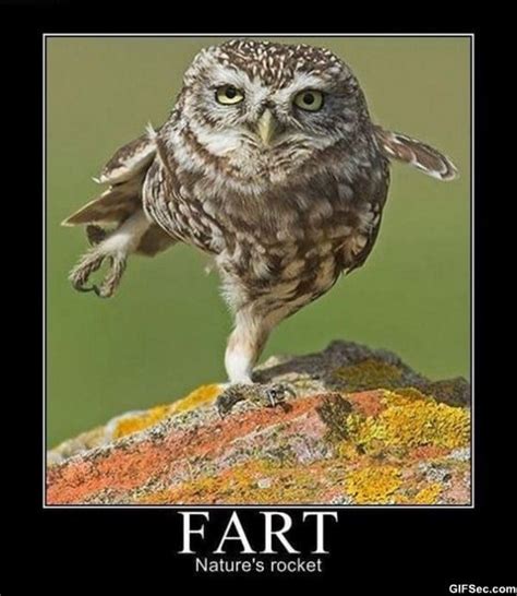 fart