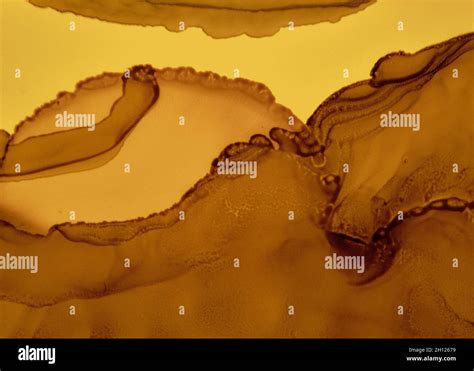 Gray And Gold Pattern High Resolution Stock Photography and Images - Alamy