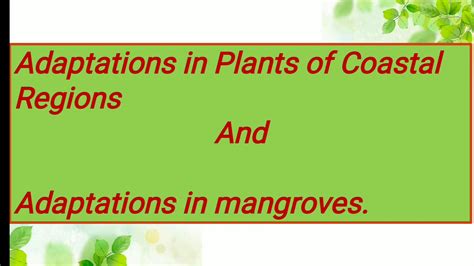 4th - Science - 20.05.2020 - Adaptations in Plants of Coastal Regions and Mangroves - YouTube