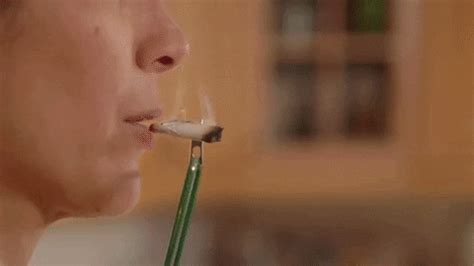 Weed, Toke Buddy, Cannabis, Marijuana, Funny GIF by WeedFeed - Find & Share on GIPHY