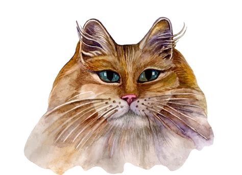 Premium Vector | Watercolor cat face isolated