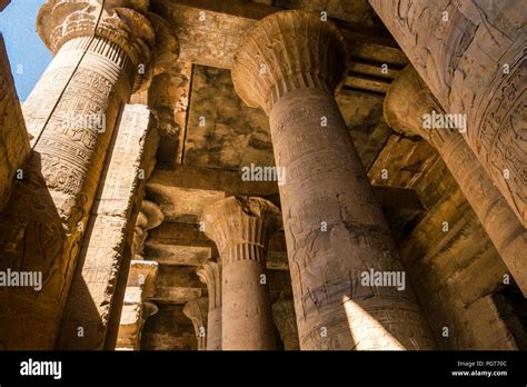 Looking up at carved floral capitals of stone columns in hypostyle hall with hieroglyphs, Edfu ...