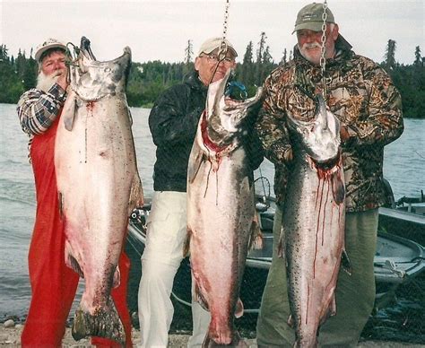 Alaska King Salmon | Alaska Halibut Fishing Charter