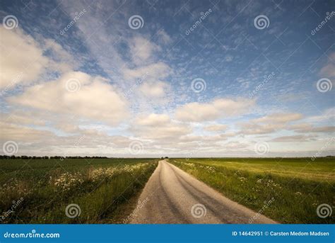 Marsh Landscape stock image. Image of horizon, road, land - 14642951