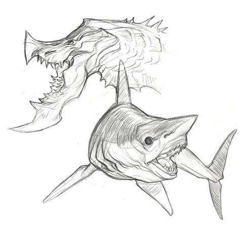 Blue Marlin Drawing at GetDrawings | Free download