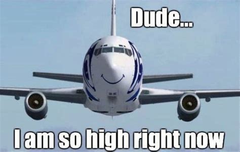 20 Great Airplane Meme Pics