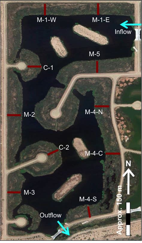 Tres Rios Wetland Dynamics | Central Arizona–Phoenix Long-Term ...