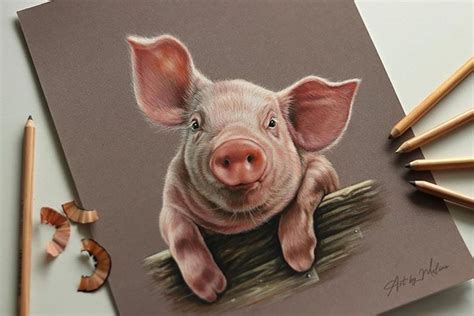 Easy Pig Drawing Ideas - Beautiful Dawn Designs