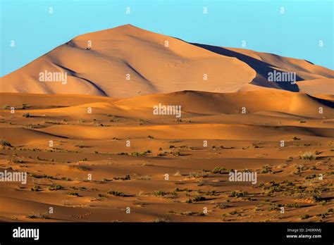 Sand dunes in the desert, Saudi Arabia Stock Photo - Alamy