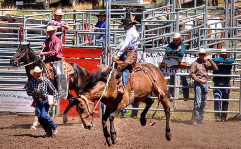 Bickleton Rodeo 2008_MG_4299 | B l a c k M a g i c | Michael & Sherry ...