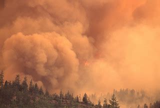 Wildfire in the Pacific Northwest | The BLM and the U.S. For… | Flickr