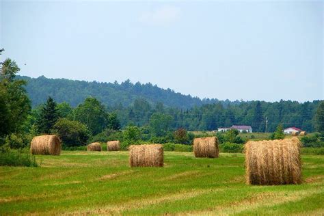 Lee Valley, Ontario - Alchetron, The Free Social Encyclopedia