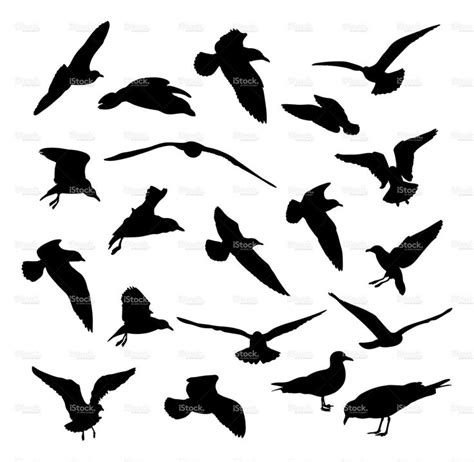 Seagulls vector silhouettes stock vector art 4242149 | Silhouette art, Seagull tattoo ...