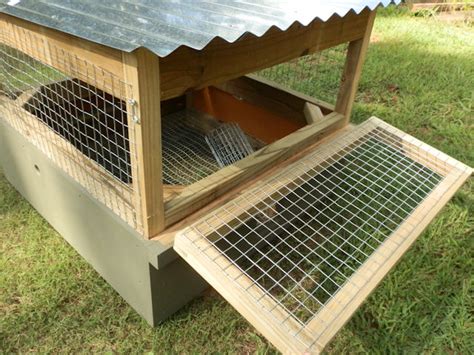 Chicken Coop Build: Bobwhite Quail Pen Plans