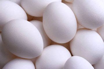 Buy White Poultry Eggs from East Sun Exim Pvt. Ltd, Chennai, India | ID - 554819