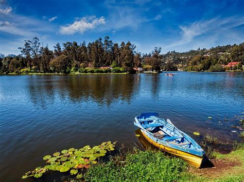 Kodaikanal Hill Station in Tamil Nadu is now open for tourists; e-passes required | Times of ...