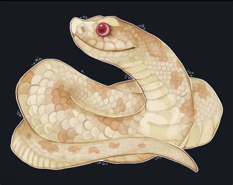 Pin on Hognose Snakes | Snake drawing, Teeth drawing, Hognose snake