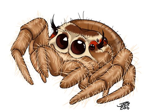 Cute Jumping Spider by ProdigyDuck on DeviantArt