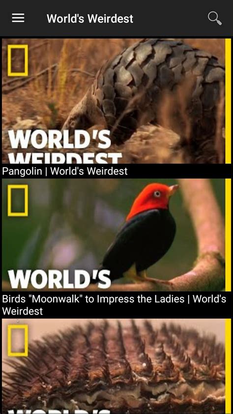 Nat Geo : Best Documentaries APK for Android Download