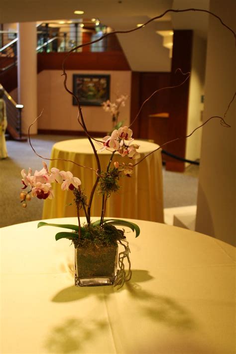 orchid - centerpieces - simple The Carter Center, Events Department ...