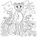 Cheetah coloring Page  Free Printable Coloring Pages sketch template