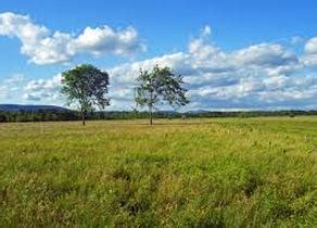 Grasslands - Biomes