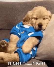 Puppy Cute GIF - Puppy Cute Sleep - Discover & Share GIFs