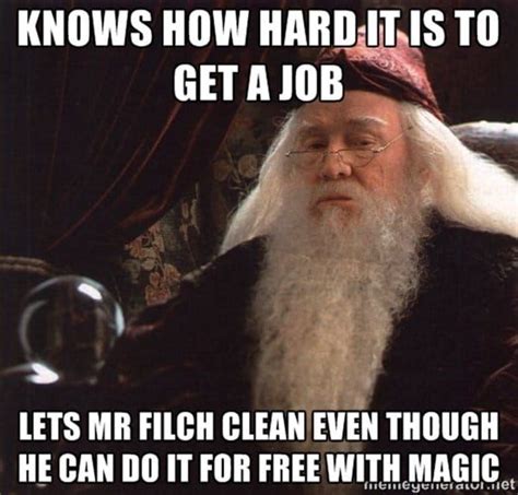 Best Harry Potter Memes, 50 Funny Pictures with HP