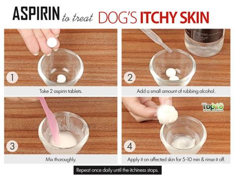 Home Remedies to Deal with Itchy Skin in Dogs | Top 10 Home Remedies
