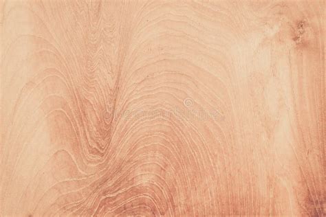 Teak wood texture stock photo. Image of formica, material - 120921270